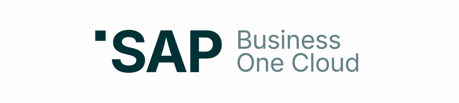 Sap Business One