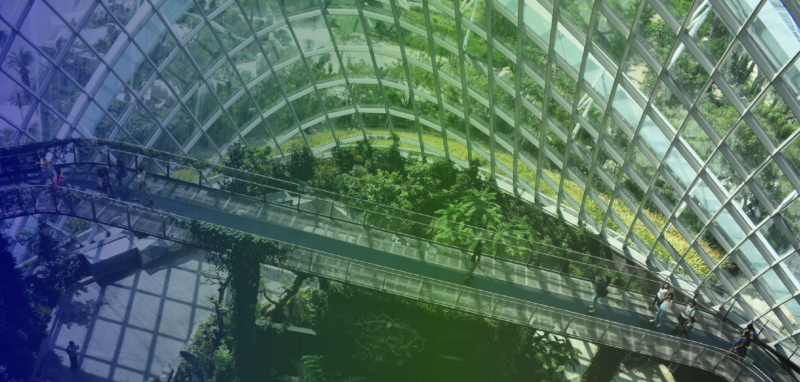 Sostenibilidad objetivo cero carbón